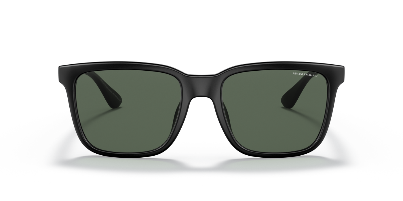 Armani Exchange 4112SU 807871 55 Ekartman Erkek Güneş Gözlüğü - 4