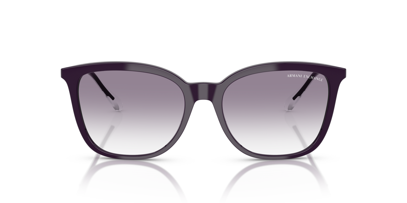 Armani Exchange 4151S 836479 55 Ekartman Kadın Güneş Gözlüğü - 4