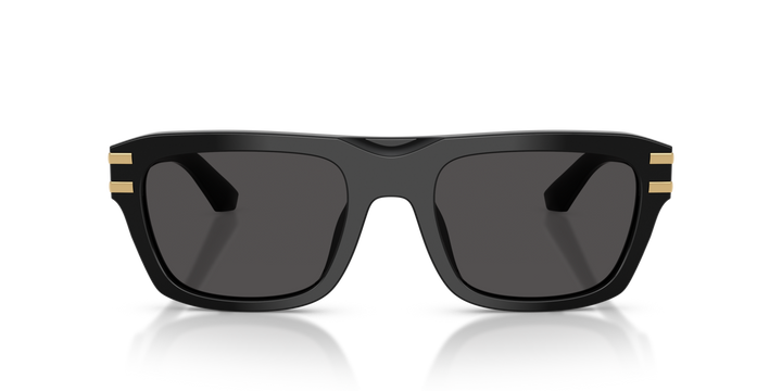 Dolce & Gabbana 4496 501/87 54 Ekartman Erkek Güneş Gözlüğü - 4