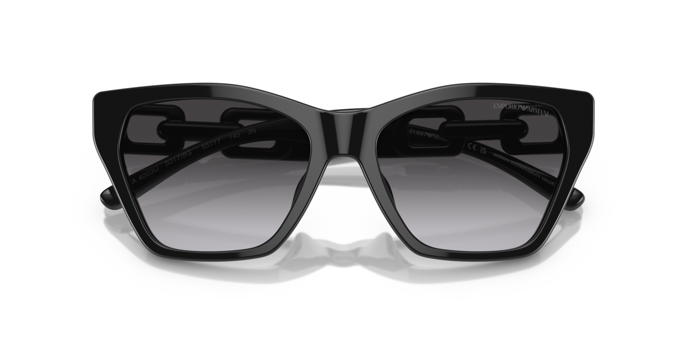Emporio Armani 4203U 50178G 55 Ekartman Kadın Güneş Gözlüğü - 5