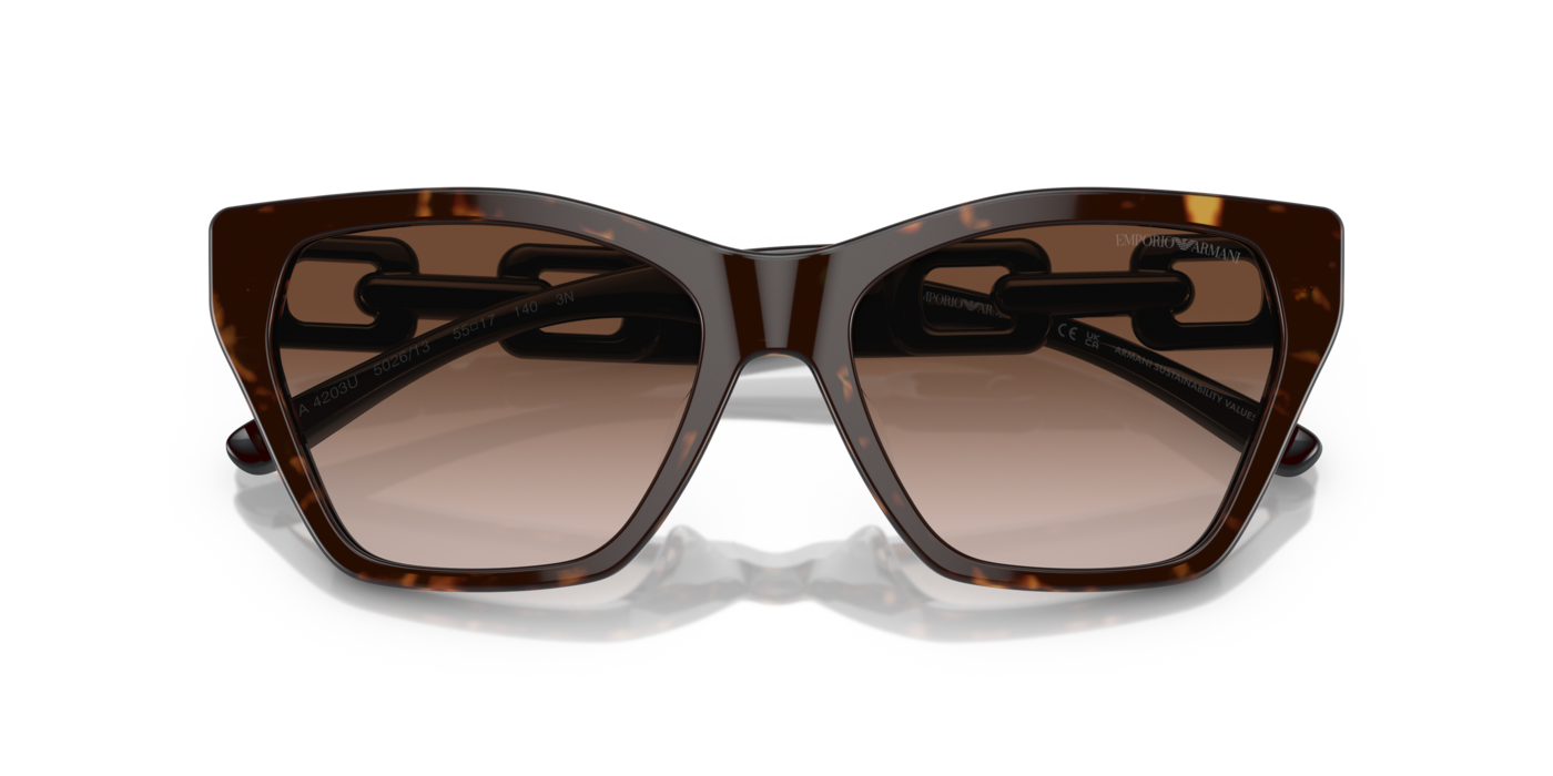 Emporio Armani 4203U 502613 55 Ekartman Kadın Güneş Gözlüğü - 5