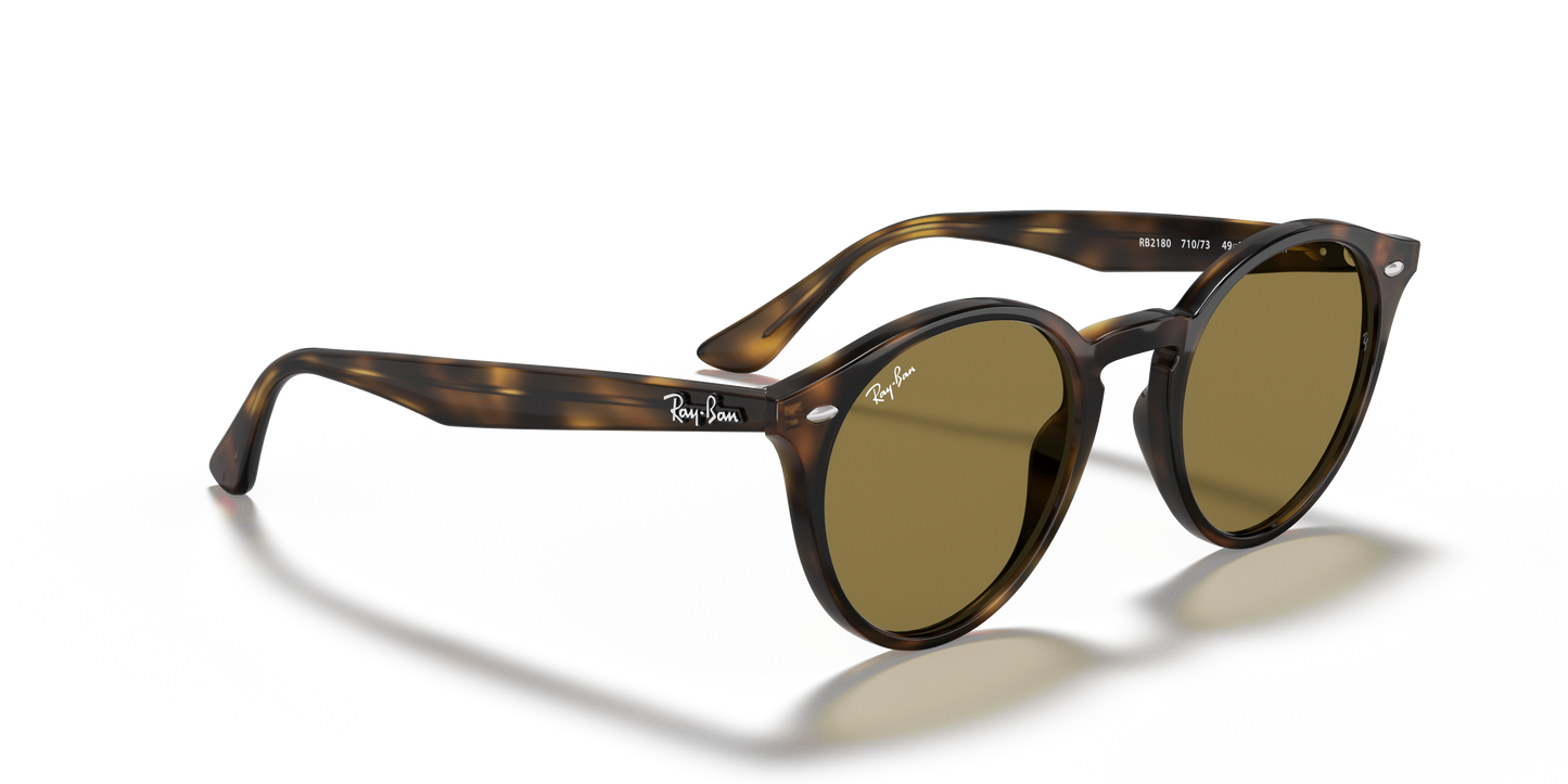 Ray-Ban 2180 710/73 49 Ekartman Unisex Güneş Gözlüğü - 4