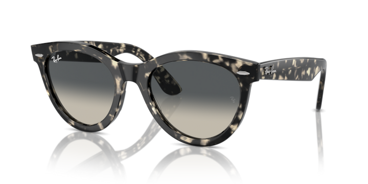 Ray-Ban 2241 133371 54 Ekartman Unisex Güneş Gözlüğü - 1