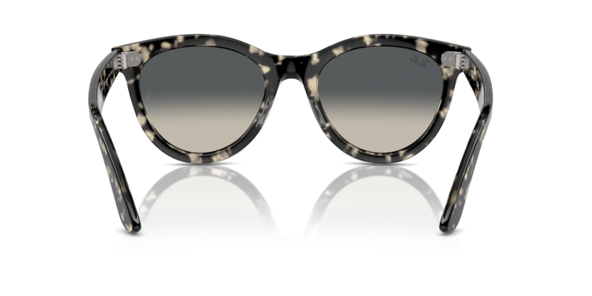 Ray-Ban 2241 133371 54 Ekartman Unisex Güneş Gözlüğü - 3