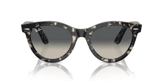 Ray-Ban 2241 133371 54 Ekartman Unisex Güneş Gözlüğü - 5