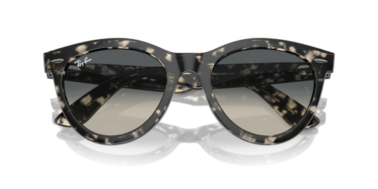 Ray-Ban 2241 133371 54 Ekartman Unisex Güneş Gözlüğü - 6