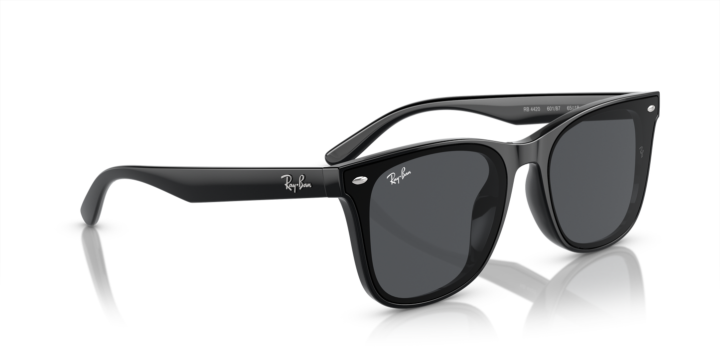 Ray-Ban 4420 601/87 65 Ekartman Unisex Güneş Gözlüğü - 4