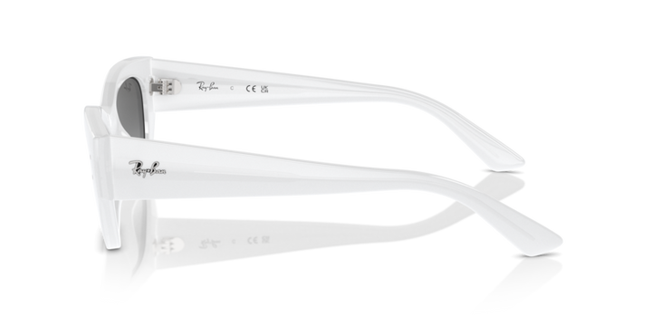 Ray-Ban 4430 675911 49 Ekartman Unisex Güneş Gözlüğü - 2