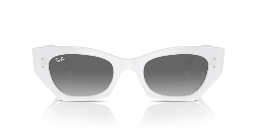 Ray-Ban 4430 675911 49 Ekartman Unisex Güneş Gözlüğü - 5