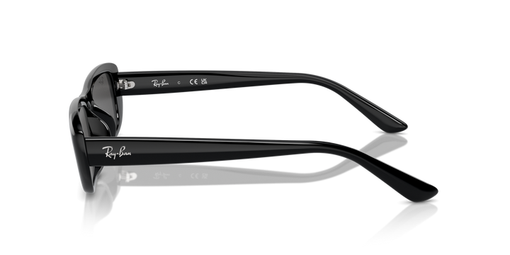 Ray-Ban 4436D 667787 55 Ekartman Unisex Güneş Gözlüğü - 2