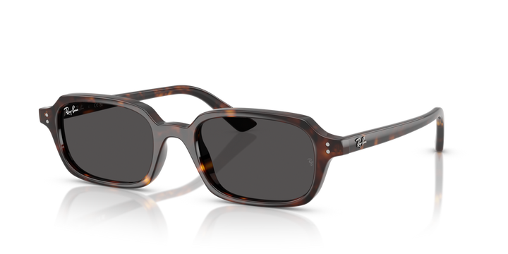 Ray-Ban 4455 135987 49 Ekartman Unisex Güneş Gözlüğü - 1