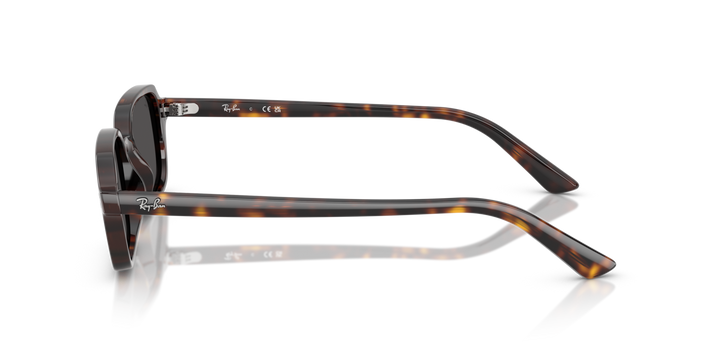 Ray-Ban 4455 135987 49 Ekartman Unisex Güneş Gözlüğü - 2