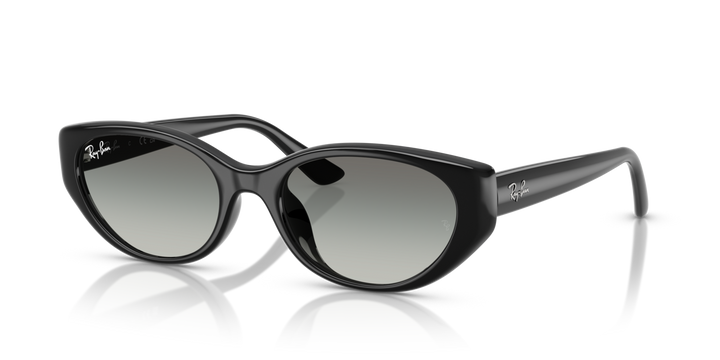 Ray-Ban 4457D 667711 55 Ekartman Unisex Güneş Gözlüğü - 1