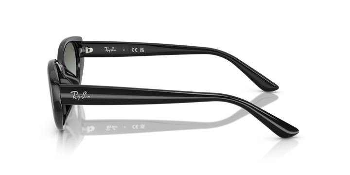 Ray-Ban 4457D 667711 55 Ekartman Unisex Güneş Gözlüğü - 2