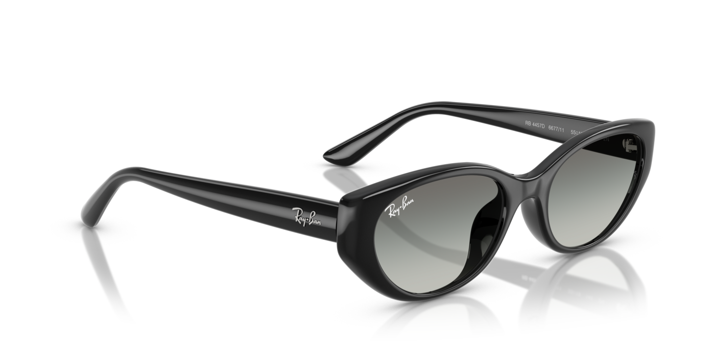 Ray-Ban 4457D 667711 55 Ekartman Unisex Güneş Gözlüğü - 4