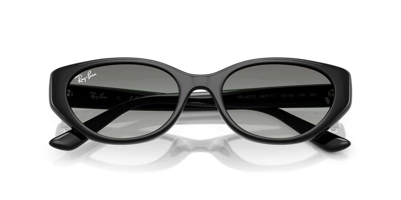 Ray-Ban 4457D 667711 55 Ekartman Unisex Güneş Gözlüğü - 6