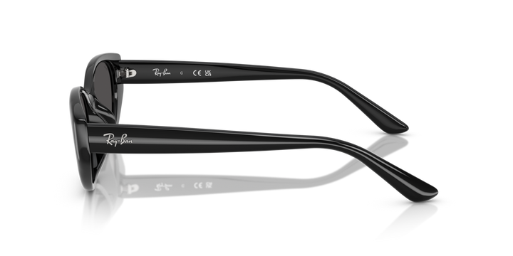 Ray-Ban 4457D 667787 55 Ekartman Unisex Güneş Gözlüğü - 2