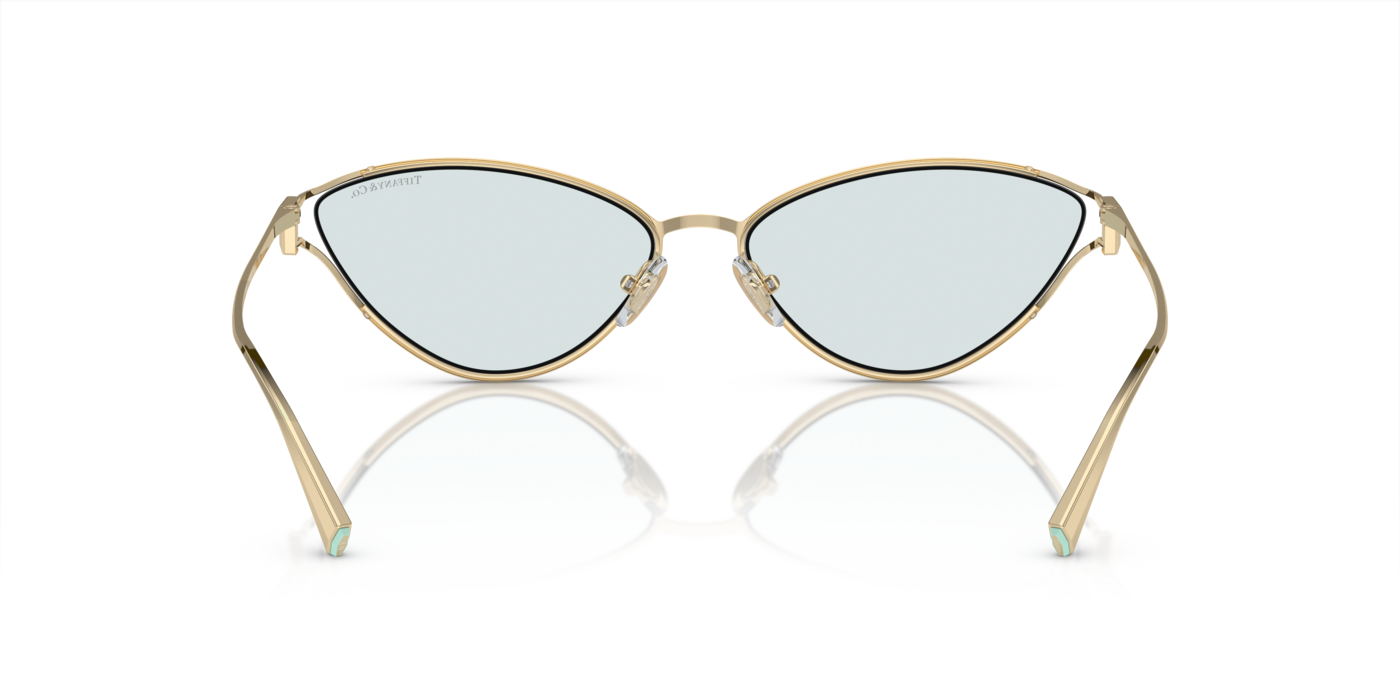 Tiffany & Co. 3095 6196MF 61 Ekartman Kadın Güneş Gözlüğü - 3