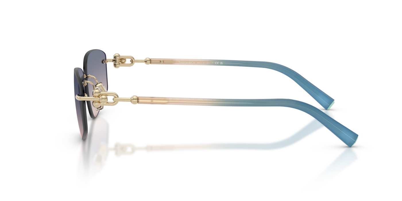 Tiffany & Co. 3114 619116 59 Ekartman Unisex Güneş Gözlüğü - 2