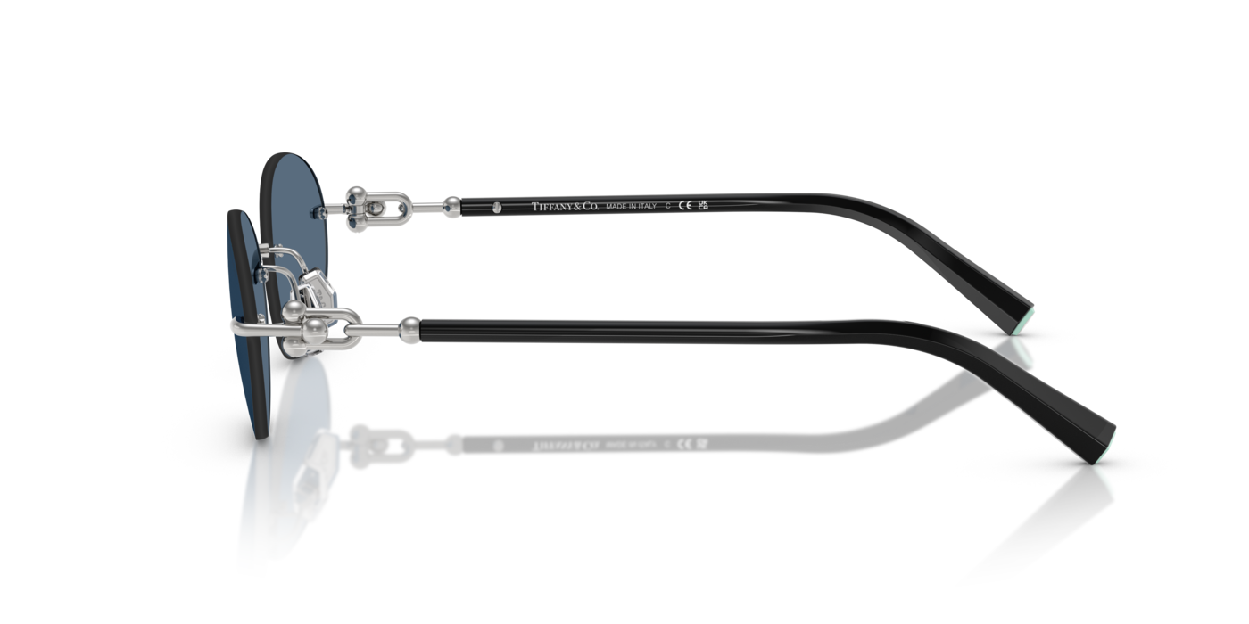 Tiffany & Co. 3104D 600180 56 Ekartman Unisex Güneş Gözlüğü - 2