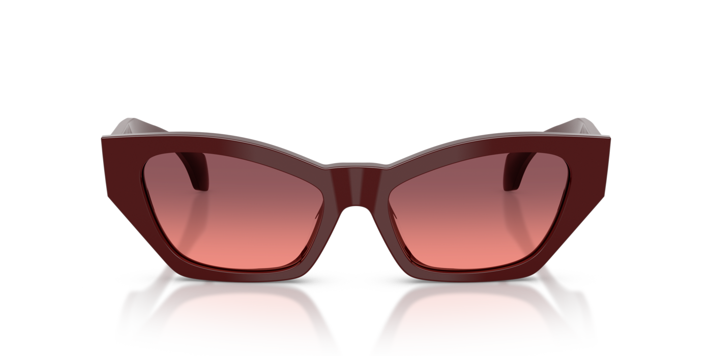 Versace 4488U 551520 53 Ekartman Kadın Güneş Gözlüğü - 4