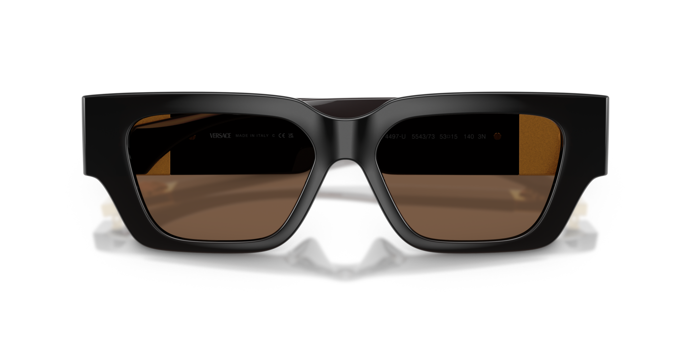 Versace 4497U 554373 53 Ekartman Kadın Güneş Gözlüğü - 5