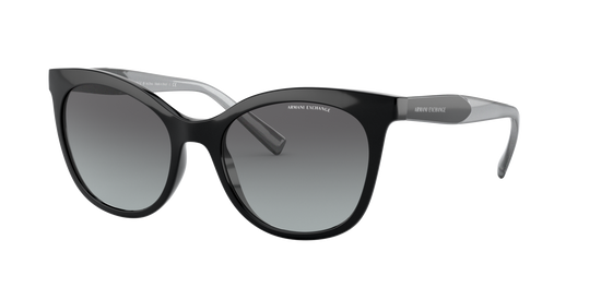 Armani Exchange 4094S 81588G 54 Ekartman Kadın Güneş Gözlüğü - 1