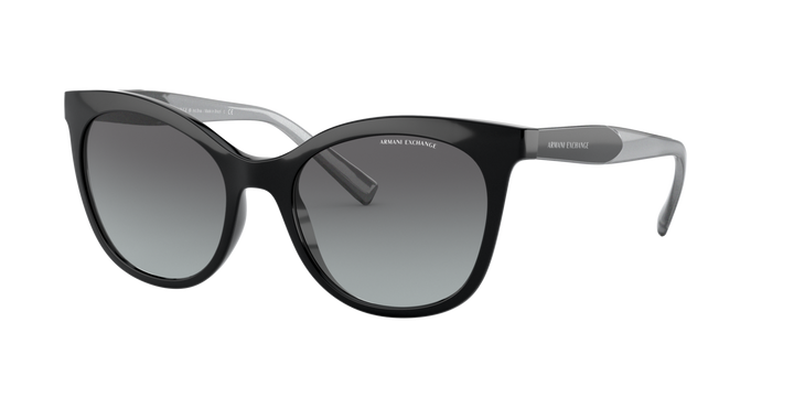 Armani Exchange 4094S 81588G 54 Ekartman Kadın Güneş Gözlüğü - 1