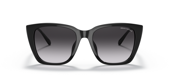 Armani Exchange 4116SU 81588G 53 Ekartman Kadın Güneş Gözlüğü - 4