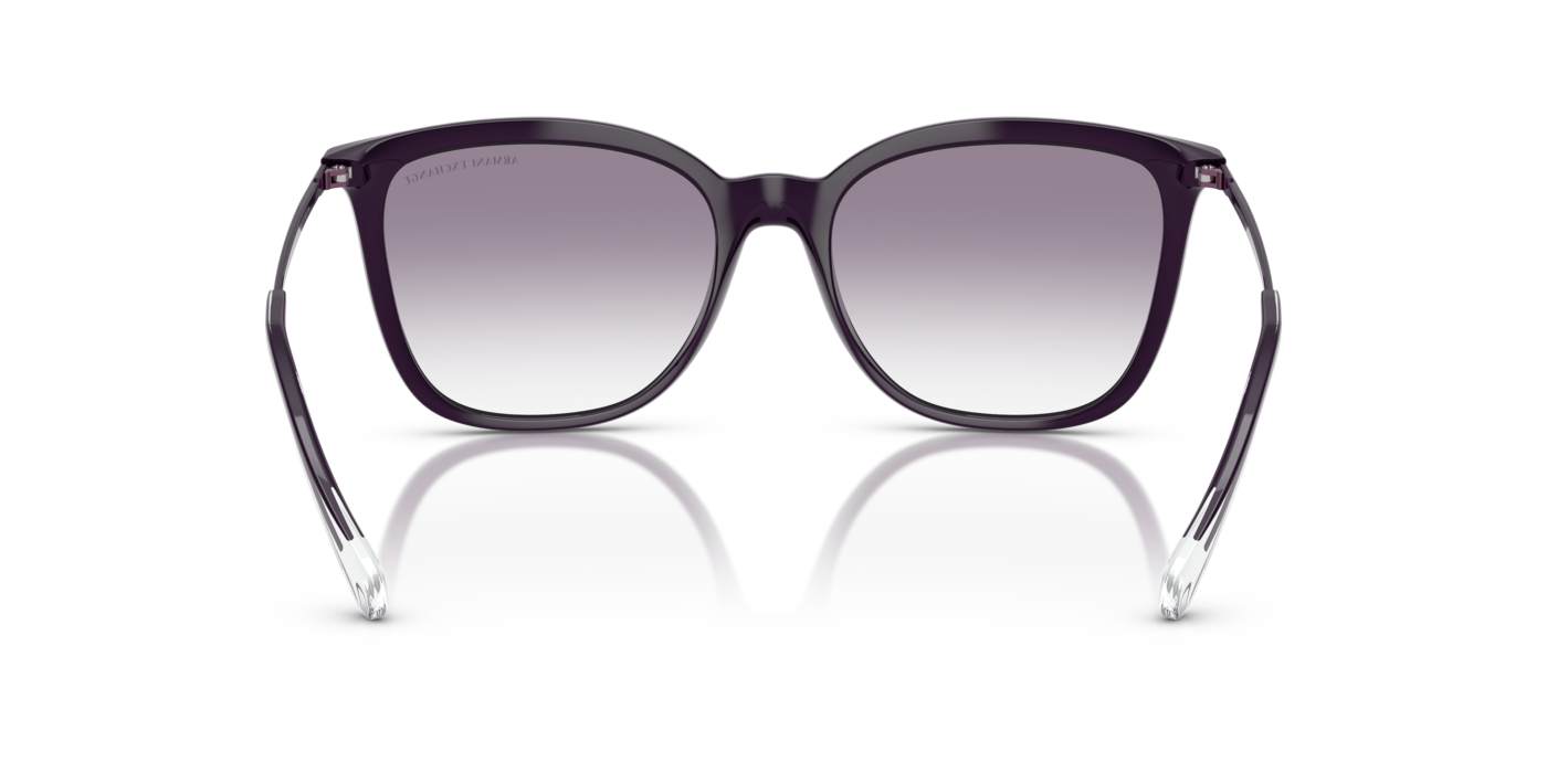 Armani Exchange 4151S 836479 55 Ekartman Kadın Güneş Gözlüğü - 3