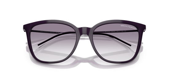Armani Exchange 4151S 836479 55 Ekartman Kadın Güneş Gözlüğü - 5
