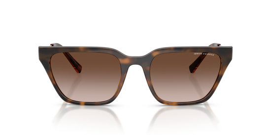 Armani Exchange 4158S 821313 55 Ekartman Kadın Güneş Gözlüğü - 4
