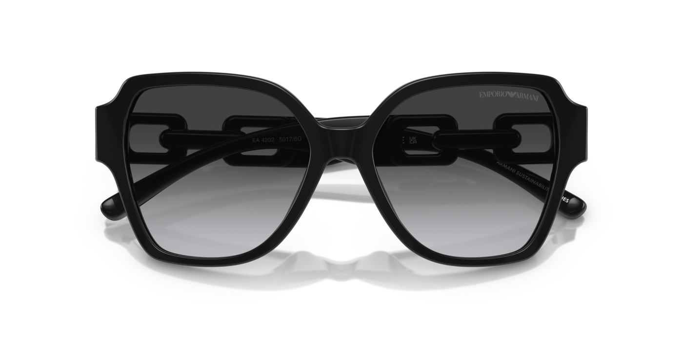 Emporio Armani 4202 50178G 54 Ekartman Kadın Güneş Gözlüğü - 5