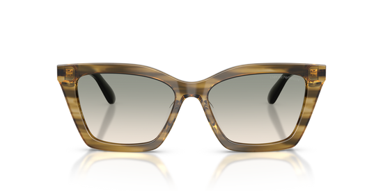 Emporio Armani 4250U 62672C 54 Ekartman Kadın Güneş Gözlüğü - 4