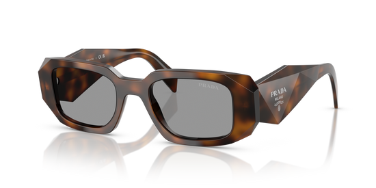 Prada 17WS 20D50Q 49 Ekartman Kadın Güneş Gözlüğü - 1