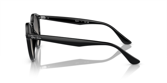Ray-Ban 2180 601/11 51 Ekartman Unisex Güneş Gözlüğü - 2