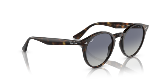 Ray-Ban 2180 710/4L 51 Ekartman Unisex Güneş Gözlüğü - 4