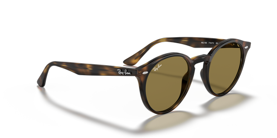 Ray-Ban 2180 710/73 49 Ekartman Unisex Güneş Gözlüğü - 4