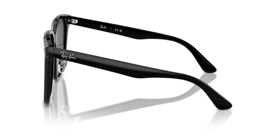 Ray-Ban 2206D 901/87 57 Ekartman Unisex Güneş Gözlüğü - 2