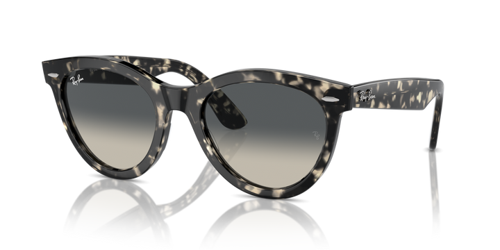 Ray-Ban 2241 133371 51 Ekartman Unisex Güneş Gözlüğü - 1