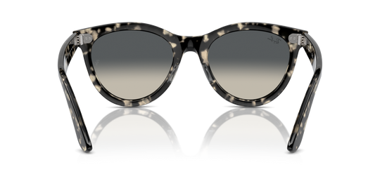 Ray-Ban 2241 133371 51 Ekartman Unisex Güneş Gözlüğü - 3