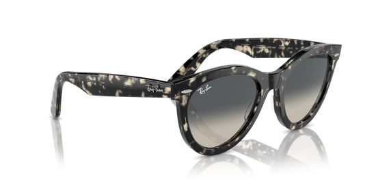 Ray-Ban 2241 133371 51 Ekartman Unisex Güneş Gözlüğü - 4