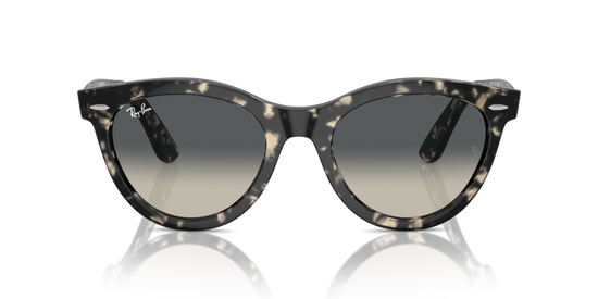 Ray-Ban 2241 133371 51 Ekartman Unisex Güneş Gözlüğü - 5