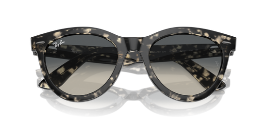 Ray-Ban 2241 133371 51 Ekartman Unisex Güneş Gözlüğü - 6
