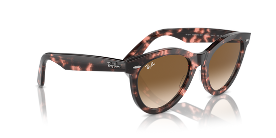 Ray-Ban 2241 133451 54 Ekartman Unisex Güneş Gözlüğü - 4