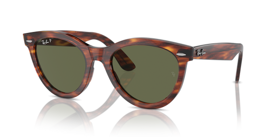 Ray-Ban 2241 954/58 54 Ekartman Unisex Güneş Gözlüğü - 1