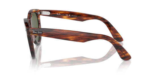 Ray-Ban 2241 954/58 54 Ekartman Unisex Güneş Gözlüğü - 2