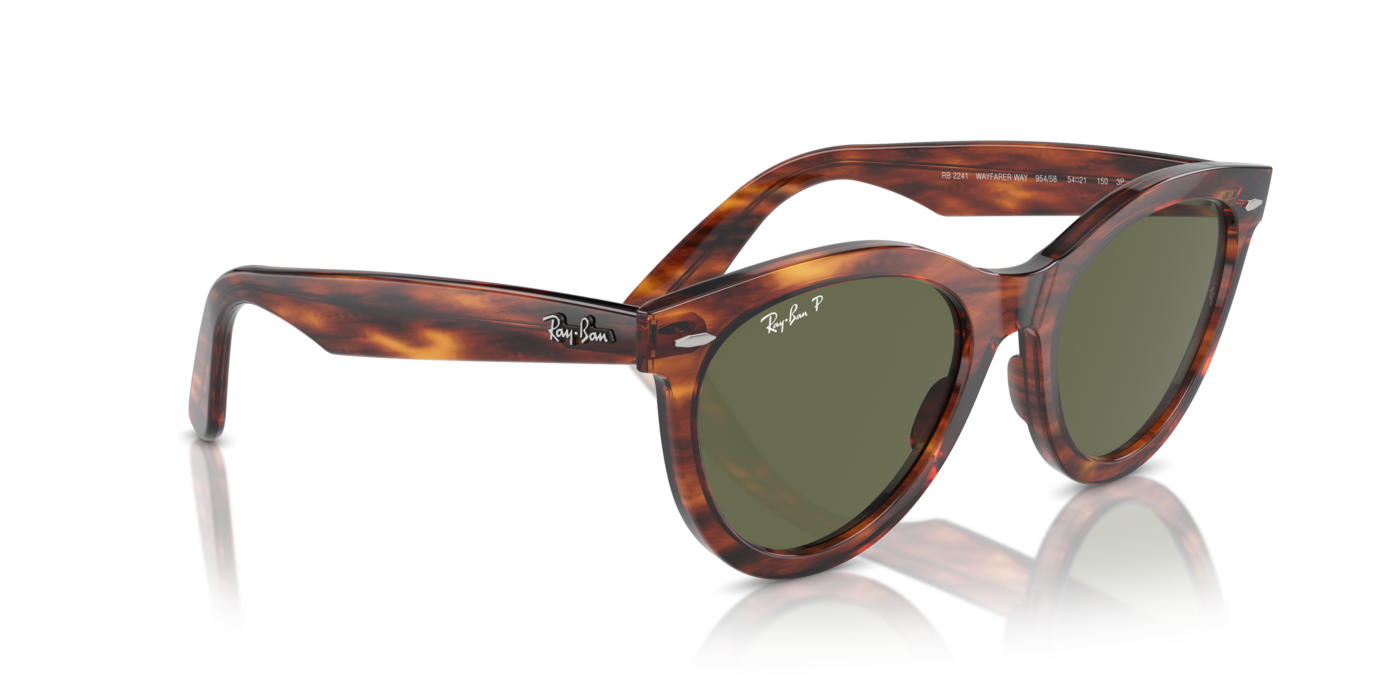 Ray-Ban 2241 954/58 54 Ekartman Unisex Güneş Gözlüğü - 4
