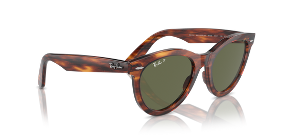 Ray-Ban 2241 954/58 54 Ekartman Unisex Güneş Gözlüğü - 4