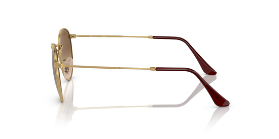Ray-Ban 3447 001/51 50 Ekartman Unisex Güneş Gözlüğü - 2